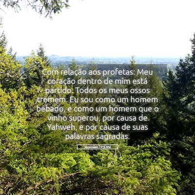Picture 05 - Jeremias 23:9 BSL - Com relação aos profetas: Meu coração dentro - Bible Verse Picture