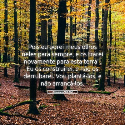 Picture 05 - Jeremias 24:6 BSL - Pois eu porei meus olhos neles para sempre, e os - Bible Verse Picture