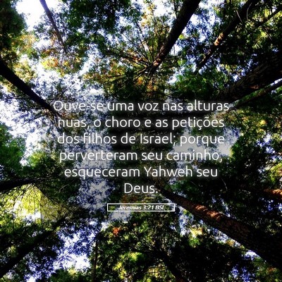Picture 05 - Jeremias 3:21 BSL - Ouve-se uma voz nas alturas nuas, o choro e as - Bible Verse Picture