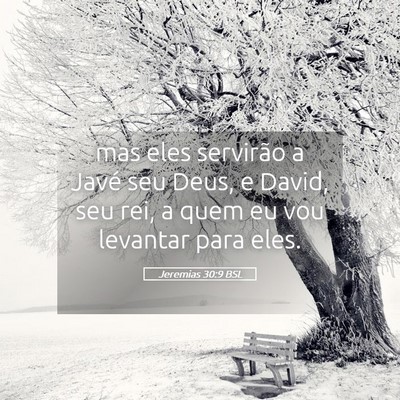 Picture 05 - Jeremias 30:9 BSL - mas eles servirão a Javé seu Deus, e David, seu - Bible Verse Picture