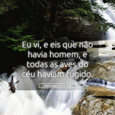 Picture 05 - Jeremias 4:25 BSL - Eu vi, e eis que não havia homem, e todas as - Bible Verse Picture