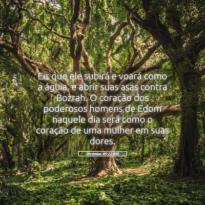 Picture 05 - Jeremias 49:22 BSL - Eis que ele subirá e voará como a águia, e - Bible Verse Picture