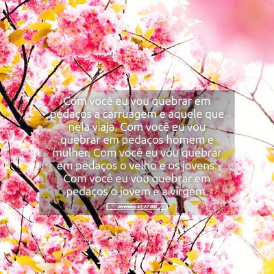 Picture 05 - Jeremias 51:22 BSL - Com você eu vou quebrar em pedaços a carruagem - Bible Verse Picture