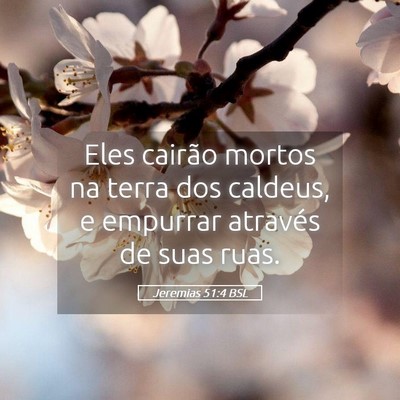 Picture 05 - Jeremias 51:4 BSL - Eles cairão mortos na terra dos caldeus, e - Bible Verse Picture