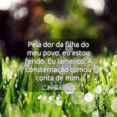 Picture 05 - Jeremias 8:21 BSL - Pela dor da filha do meu povo, eu estou ferido. - Bible Verse Picture