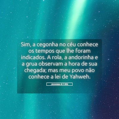 Picture 05 - Jeremias 8:7 BSL - Sim, a cegonha no céu conhece os tempos que lhe - Bible Verse Picture