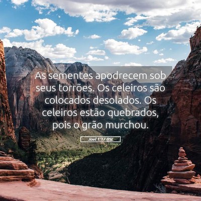 Picture 05 - Joel 1:17 BSL - As sementes apodrecem sob seus torrões. Os - Bible Verse Picture