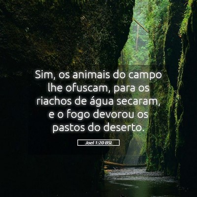 Picture 05 - Joel 1:20 BSL - Sim, os animais do campo lhe ofuscam, para os - Bible Verse Picture