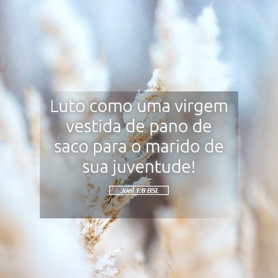 Picture 05 - Joel 1:8 BSL - Luto como uma virgem vestida de pano de saco para - Bible Verse Picture