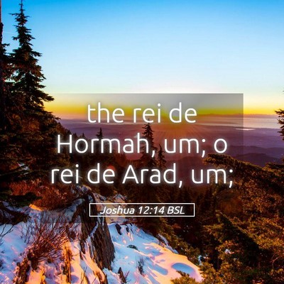 Picture 05 - Joshua 12:14 BSL - the rei de Hormah, um; o rei de Arad, - Bible Verse Picture