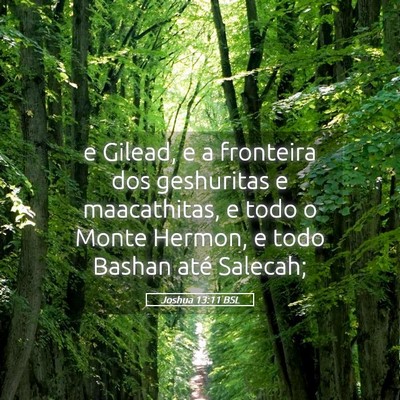 Picture 05 - Joshua 13:11 BSL - e Gilead, e a fronteira dos geshuritas e - Bible Verse Picture
