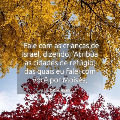 Picture 05 - Joshua 20:2 BSL - “Fale com as crianças de Israel, dizendo, - Bible Verse Picture