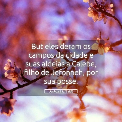 Picture 05 - Joshua 21:12 BSL - But eles deram os campos da cidade e suas aldeias - Bible Verse Picture