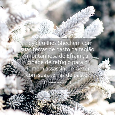 Picture 05 - Joshua 21:21 BSL - They deu-lhes Shechem com suas terras de pasto na - Bible Verse Picture