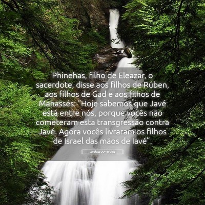 Picture 05 - Joshua 22:31 BSL - Phinehas, filho de Eleazar, o sacerdote, disse - Bible Verse Picture