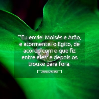 Picture 05 - Joshua 24:5 BSL - “'Eu enviei Moisés e Arão, e atormentei o - Bible Verse Picture