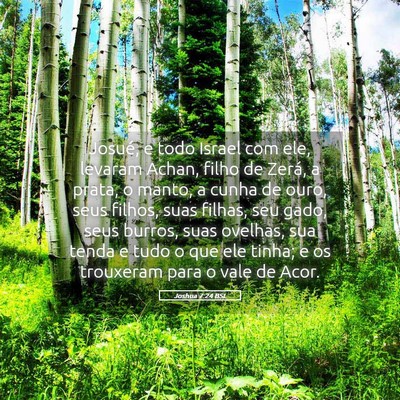 Picture 05 - Joshua 7:24 BSL - Josué, e todo Israel com ele, levaram Achan, - Bible Verse Picture