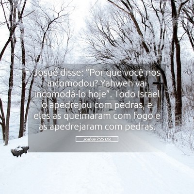 Picture 05 - Joshua 7:25 BSL - Josué disse: “Por que você nos incomodou? - Bible Verse Picture