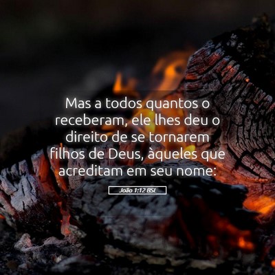 Picture 05 - João 1:12 BSL - Mas a todos quantos o receberam, ele lhes deu o - Bible Verse Picture