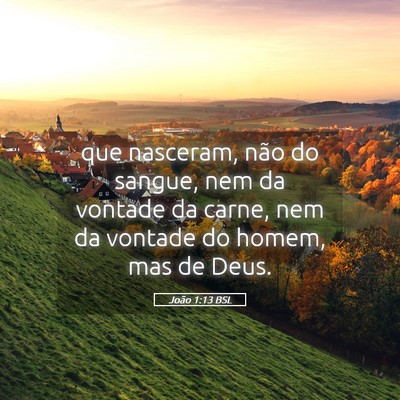 Picture 05 - João 1:13 BSL - que nasceram, não do sangue, nem da vontade da - Bible Verse Picture