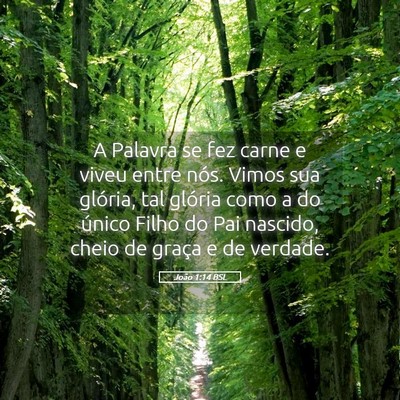 Picture 05 - João 1:14 BSL - A Palavra se fez carne e viveu entre nós. Vimos - Bible Verse Picture