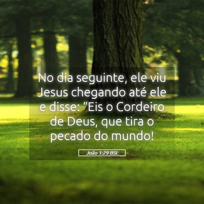 Picture 05 - João 1:29 BSL - No dia seguinte, ele viu Jesus chegando até ele - Bible Verse Picture