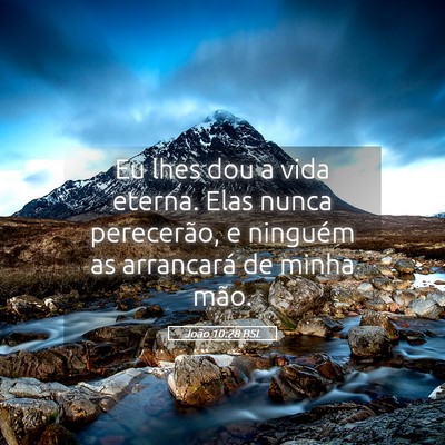 Picture 05 - João 10:28 BSL - Eu lhes dou a vida eterna. Elas nunca perecerão, - Bible Verse Picture