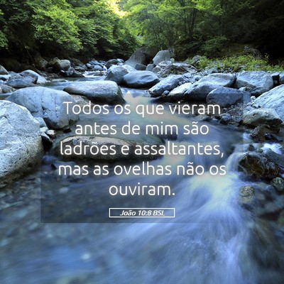 Picture 05 - João 10:8 BSL - Todos os que vieram antes de mim são ladrões e - Bible Verse Picture