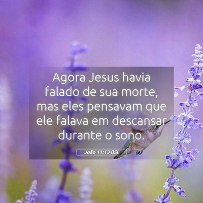 Picture 05 - João 11:13 BSL - Agora Jesus havia falado de sua morte, mas eles - Bible Verse Picture