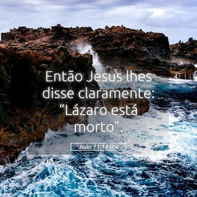 Picture 05 - João 11:14 BSL - Então Jesus lhes disse claramente: “Lázaro - Bible Verse Picture