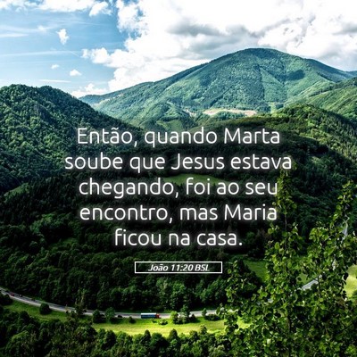 Picture 05 - João 11:20 BSL - Então, quando Marta soube que Jesus estava - Bible Verse Picture