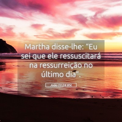 Picture 05 - João 11:24 BSL - Martha disse-lhe: “Eu sei que ele ressuscitará - Bible Verse Picture