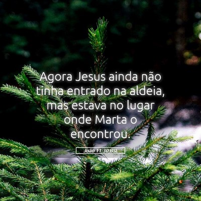 Picture 05 - João 11:30 BSL - Agora Jesus ainda não tinha entrado na aldeia, - Bible Verse Picture