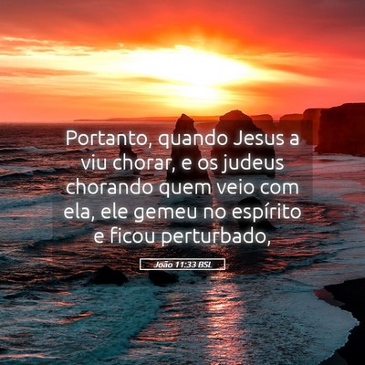 Picture 05 - João 11:33 BSL - Portanto, quando Jesus a viu chorar, e os judeus - Bible Verse Picture