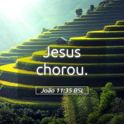 Picture 05 - João 11:35 BSL - Jesus - Bible Verse Picture
