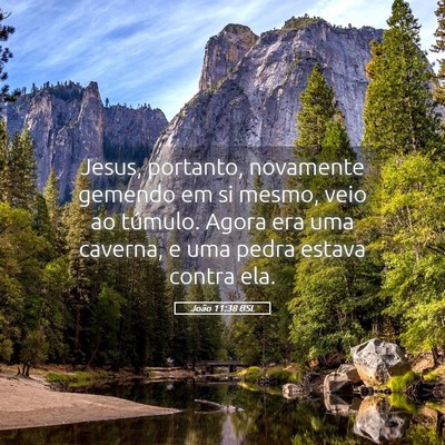 Picture 05 - João 11:38 BSL - Jesus, portanto, novamente gemendo em si mesmo, - Bible Verse Picture