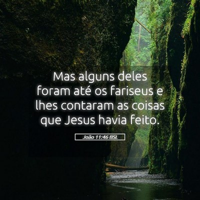 Picture 05 - João 11:46 BSL - Mas alguns deles foram até os fariseus e lhes - Bible Verse Picture