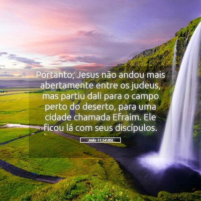 Picture 05 - João 11:54 BSL - Portanto, Jesus não andou mais abertamente entre - Bible Verse Picture