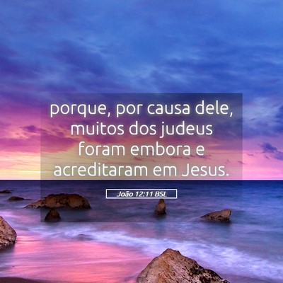 Picture 05 - João 12:11 BSL - porque, por causa dele, muitos dos judeus foram - Bible Verse Picture