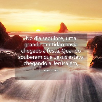 Picture 05 - João 12:12 BSL - No dia seguinte, uma grande multidão havia - Bible Verse Picture