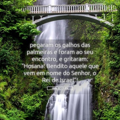 Picture 05 - João 12:13 BSL - pegaram os galhos das palmeiras e foram ao seu - Bible Verse Picture