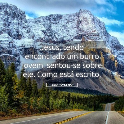 Picture 05 - João 12:14 BSL - Jesus, tendo encontrado um burro jovem, sentou-se - Bible Verse Picture