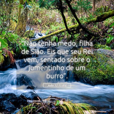Picture 05 - João 12:15 BSL - “Não tenha medo, filha de Sião. Eis que seu - Bible Verse Picture