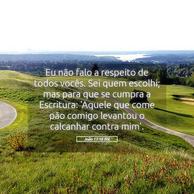 Picture 05 - João 13:18 BSL - Eu não falo a respeito de todos vocês. Sei quem - Bible Verse Picture