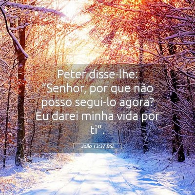Picture 05 - João 13:37 BSL - Peter disse-lhe: “Senhor, por que não posso - Bible Verse Picture