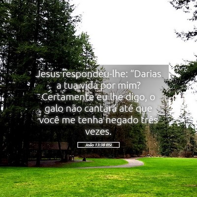 Picture 05 - João 13:38 BSL - Jesus respondeu-lhe: “Darias a tua vida por - Bible Verse Picture