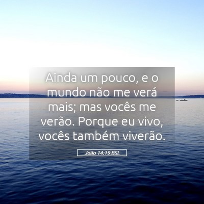 Picture 05 - João 14:19 BSL - Ainda um pouco, e o mundo não me verá mais; mas - Bible Verse Picture