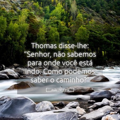 Picture 05 - João 14:5 BSL - Thomas disse-lhe: “Senhor, não sabemos para - Bible Verse Picture