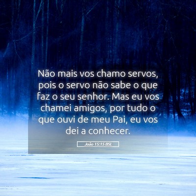 Picture 05 - João 15:15 BSL - Não mais vos chamo servos, pois o servo não - Bible Verse Picture