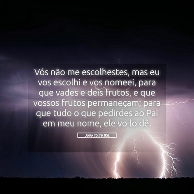 Picture 05 - João 15:16 BSL - Vós não me escolhestes, mas eu vos escolhi e - Bible Verse Picture